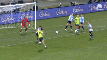 Celebration Goal GIF by Football Australia