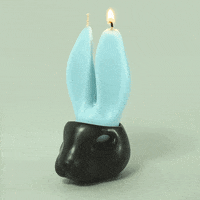 skull rabbit GIF by theJacks