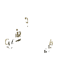 Ribeirao Preto Casa Sticker by classicimob
