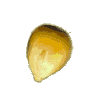 Popcorn Sticker
