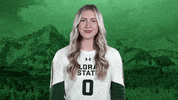 Volleyball GIF by Colorado State Rams