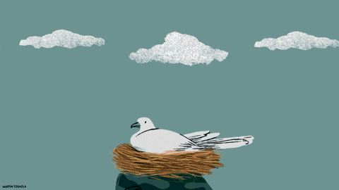 La_Vanguardia giphyupload GIF