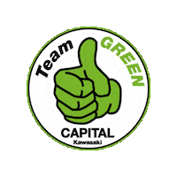Team Green Kawasaki Sticker by Ride MB Garage