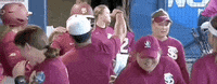 World Series Softball GIF by NCAA Championships