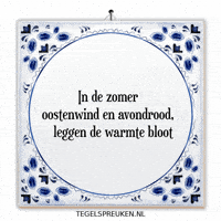 Humor Wijsheid GIF by Tegelspreuken.nl