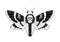 Sticker Moon Sticker