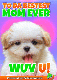Mothers Day Taylor GIF by PetJuvenate - PJ
