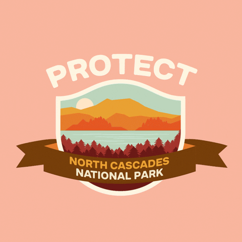 Digital art gif. Inside a shield insignia is a cartoon image of a rippling light blue lake amid pine trees and a mountain range. Text above the shield reads, "protect." Text inside a ribbon overlaid over the shield reads, "North Cascades National Park," all against a pale pink backdrop.