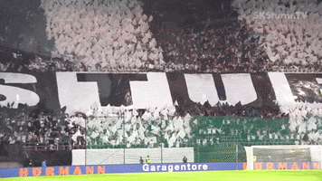 Sturm Graz Fans GIF by SK Sturm