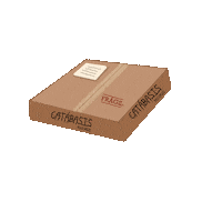 CatabasisRecords box vinyl package caja Sticker