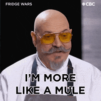 Donkey Cooking GIF by CBC