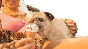 dog icecream Sticker by Restplatzboerse