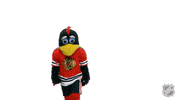 Chicago Blackhawks Sport GIF by NHL