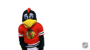 Chicago Blackhawks Sport GIF by NHL