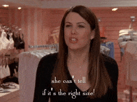 season 4 netflix GIF by Gilmore Girls 
