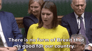 united kingdom parliament jo swinson GIF