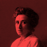 Rosa Wer GIF by Die Linke Schwelm