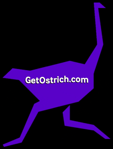 ostrichapp fintech ostrich ostrichapp theostrichapp GIF