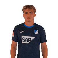 Sport Bundesliga Sticker by TSG Hoffenheim