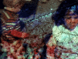 GIF by Liaizon Wakest