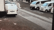Hold Up Wow GIF by Bermemes