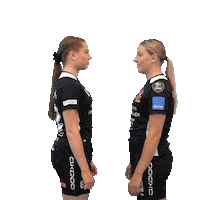 Floorball Salibandy Sticker by F-liiga