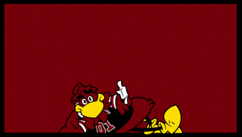 Happy College GIF by University of South Carolina
