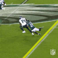 Regular Season Football GIF by NFL