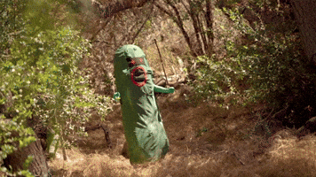 Pickle dance