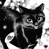 Black Cat GIF