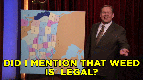 andy richter weed GIF by Team Coco
