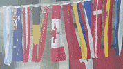 Ice Skating Olympics GIF by ISU Media