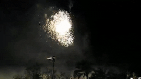 fireworks valencia GIF by For 91 Days
