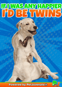 PetJuvenate petjuvenate henlo hooman fren love rescue dogs treatos and woofer for pupper GIF