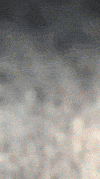 Fivenightsatfreddys Chicafnaf GIF by Youtooz