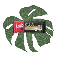 Protein Bar Power Sticker by PowerSystemSports