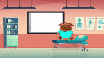 BigBrainTwin Examining Pug