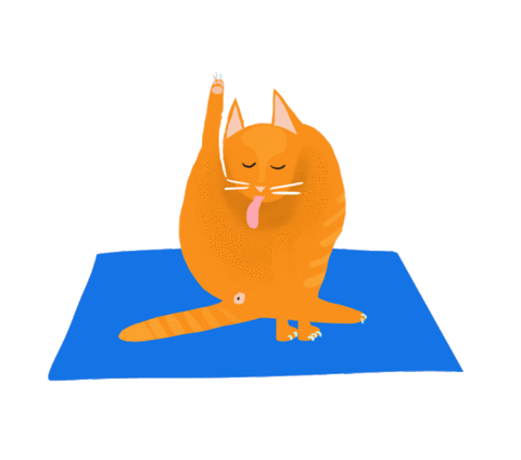 cat yoga Sticker