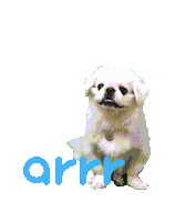아르르 Sticker by arrr_official