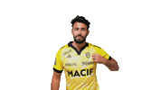 Sport Celebration Sticker by Stade Rochelais