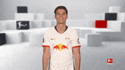 Happy Red Bulls GIF by Bundesliga
