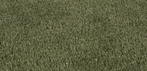 Womens Lacrosse GIF by Lafayette Leopards