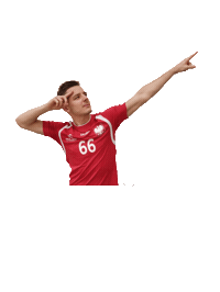 Team Poland Floorball Sticker by Polski Unihokej