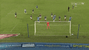 Soccer Futbol GIF by Brighton & Hove Albion Football Club