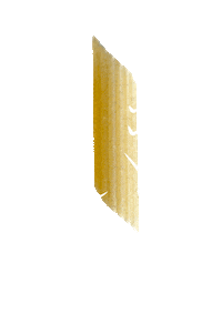 alb-gold dancing food pasta tanzen Sticker