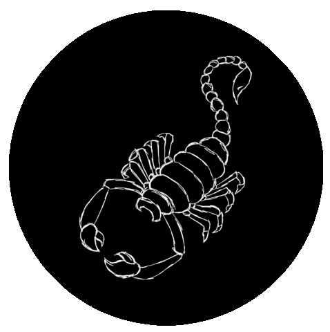 malaspinaofficial leo cancer horoscope aries Sticker