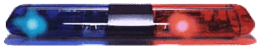 Police Cop Sticker