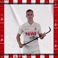 1 Fc Cologne Football GIF by 1. FC Köln