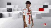 Posing Line Up GIF by Bundesliga