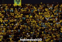 Kurdistan Kurd GIF